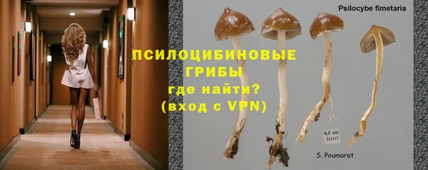 наркотики Белокуриха